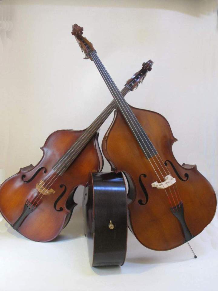 Location de guitares et quatuors Le Tampon