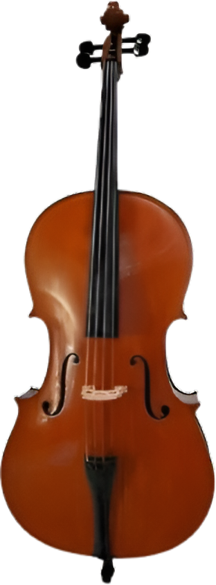 Vente de violoncelle Le Tampon
